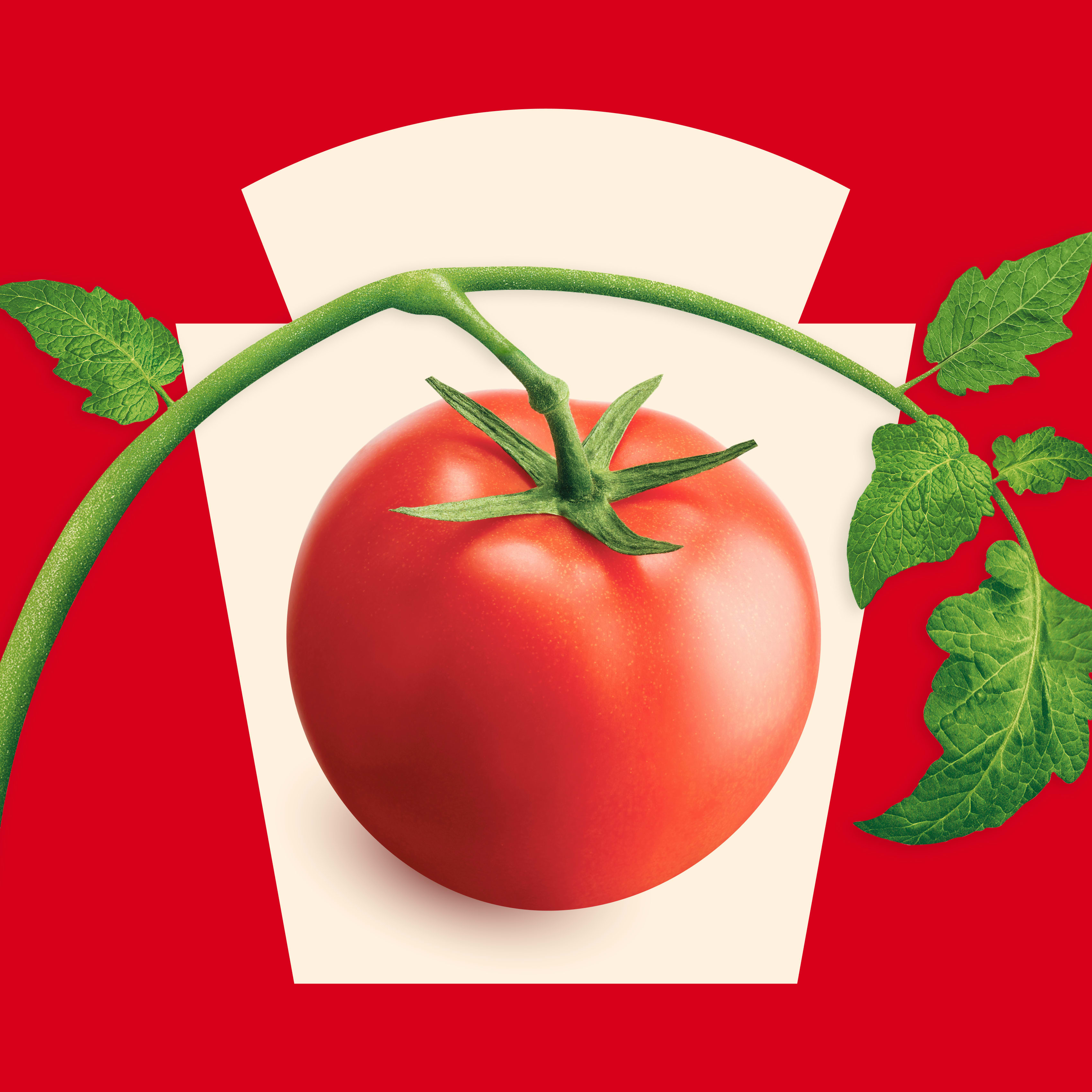 Amor e Sustentabilidade